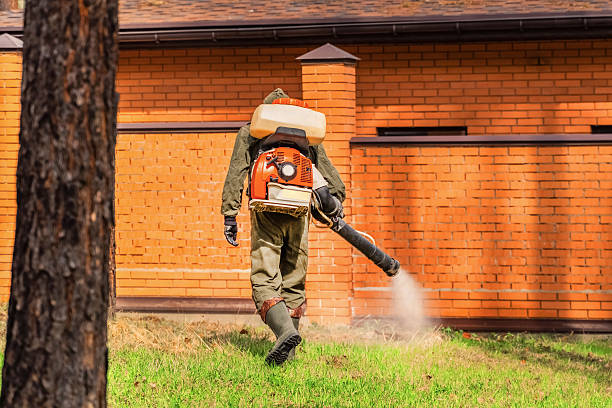 Trusted Emergency Pest Control service in East Bethel, MN - Nex Pest Control